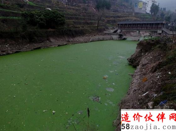 长江支流汤溪河水质污染严重 如绿色油漆