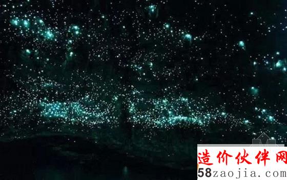 萤火虫洞(新西兰)