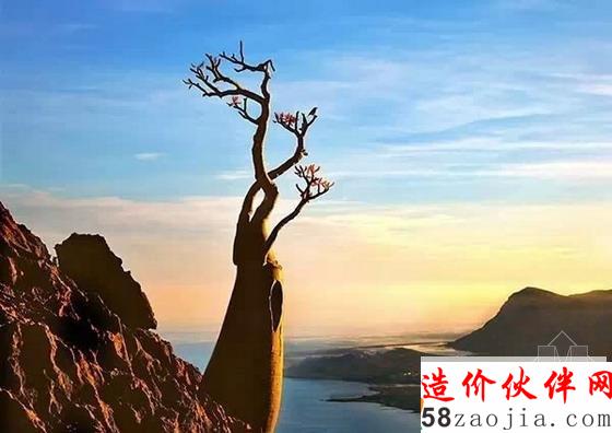 索科特拉岛(也门)