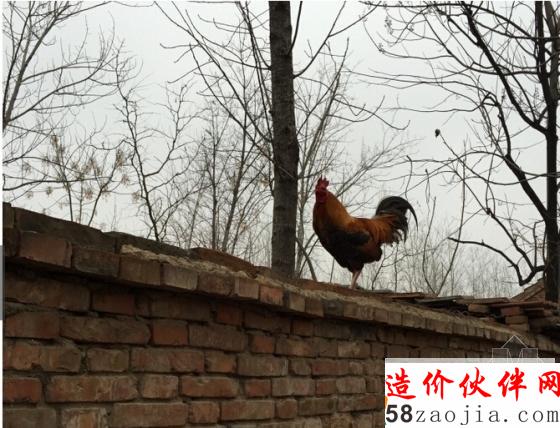 从远处拍摄的农村房