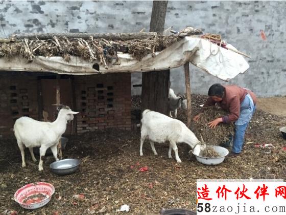 从远处拍摄的农村房