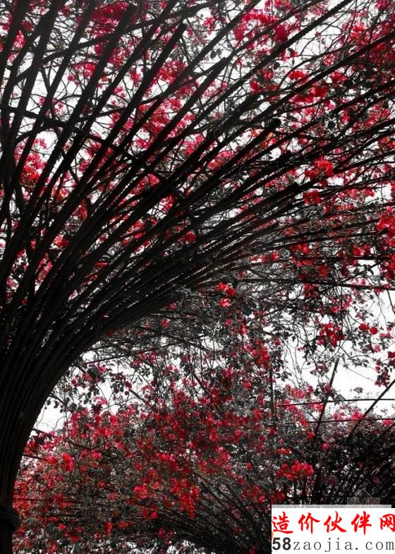 洛杉矶盖蒂中心中央花园