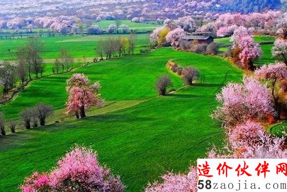 西藏林芝“桃花沟”