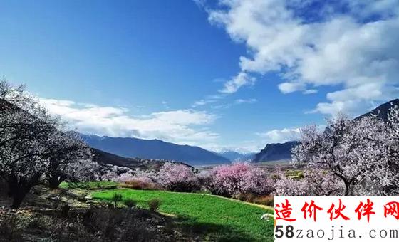 西藏林芝“桃花沟”
