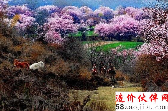 西藏林芝“桃花沟”