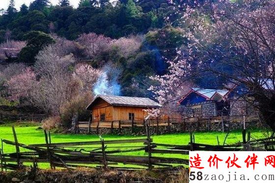 西藏林芝“桃花沟”