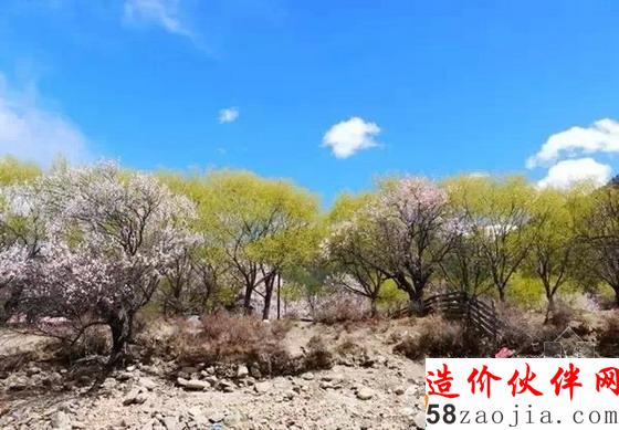 西藏林芝“桃花沟”