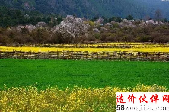 西藏林芝“桃花沟”