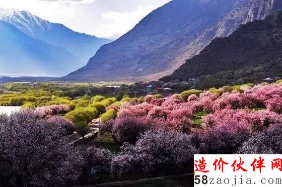 西藏林芝“桃花沟”