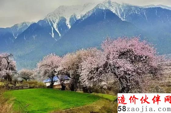 西藏林芝“桃花沟”