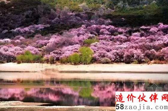 西藏林芝“桃花沟”