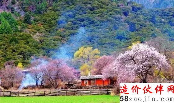 西藏林芝“桃花沟”