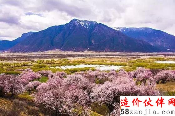 西藏林芝“桃花沟”
