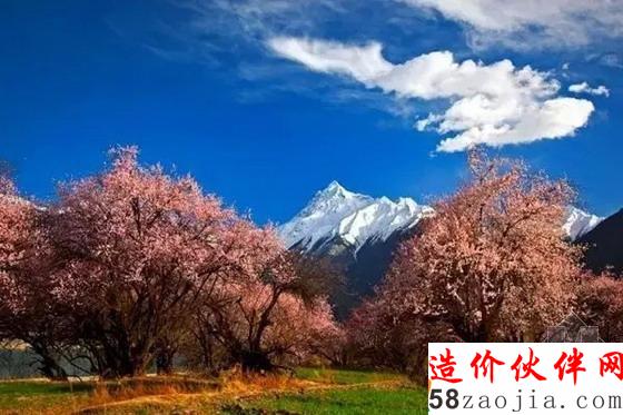 西藏林芝“桃花沟”