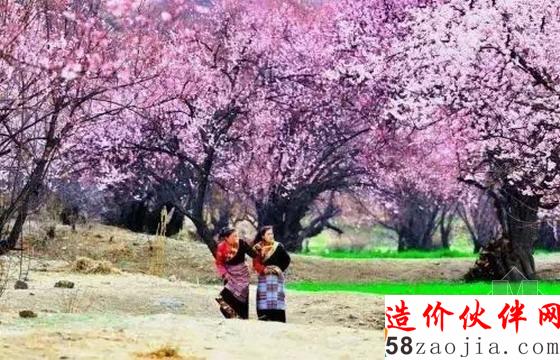 西藏林芝“桃花沟”