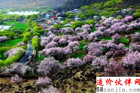 西藏林芝“桃花沟”