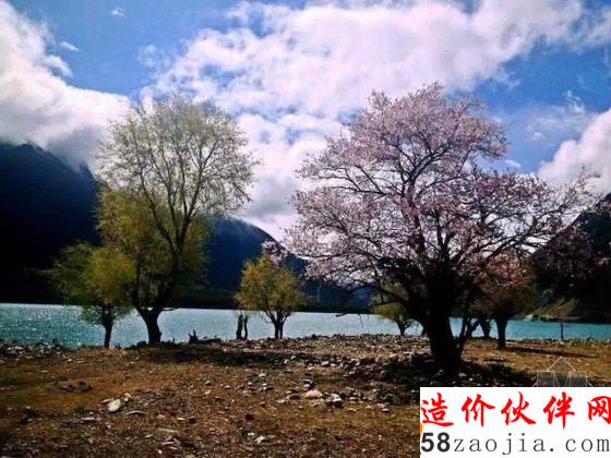 西藏林芝“桃花沟”