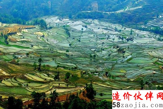 云山雾绕的坝达梯田