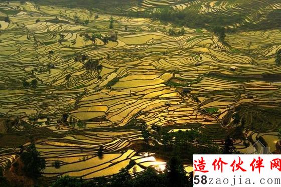 “大地雕塑”元阳梯田