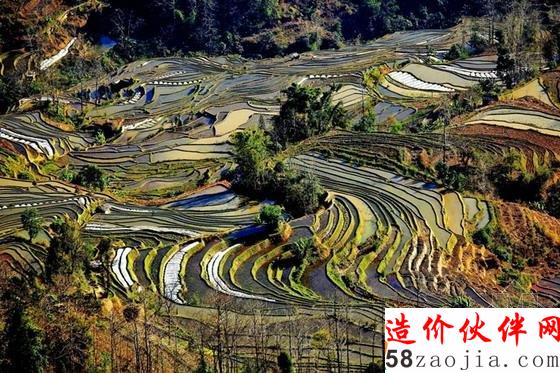 “大地雕塑”元阳梯田