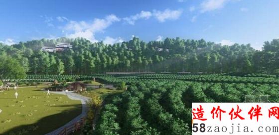 袋底洞茶叶庄园