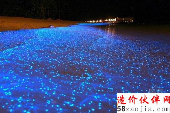 马尔代夫夜光海滩