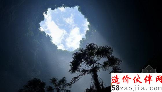 湖北天坑里的“动植物王国”