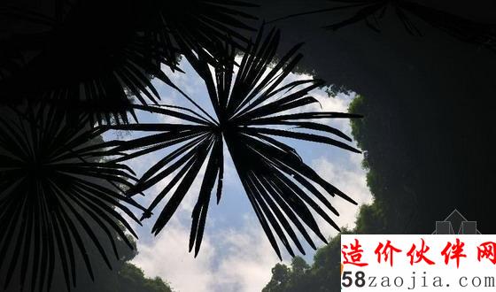 湖北天坑里的“动植物王国”