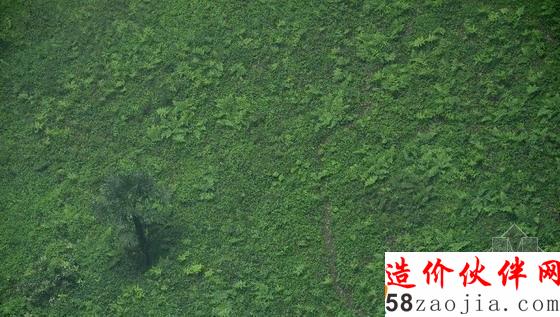 湖北天坑里的“动植物王国”