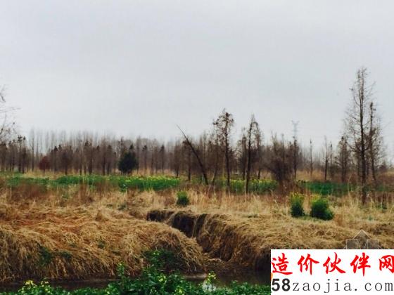 上图为高邮市东湖省级湿地公园百树园建设基地