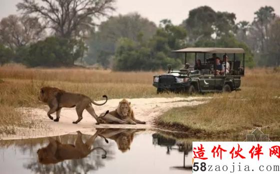 准备好心跳加速了吗?在“野兽”肚子里住一晚