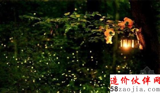 上海萤火虫公园