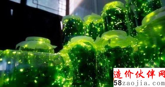 上海萤火虫公园