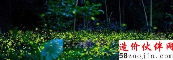 上海萤火虫公园