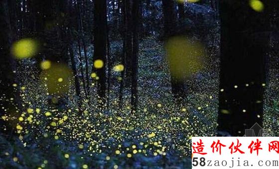上海萤火虫公园
