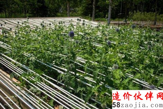 2015年美国第16届国际花园节花园设计