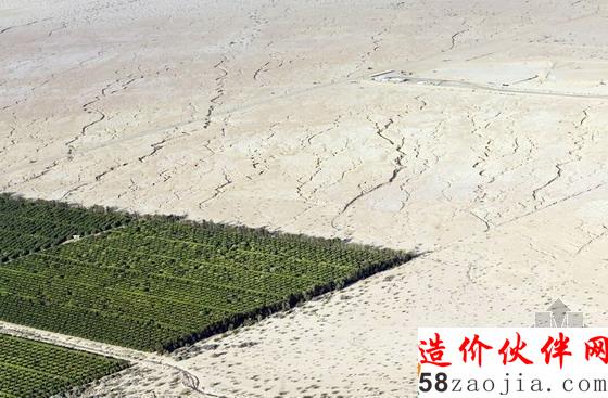 美国加州大旱下的灌溉农田