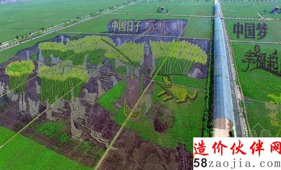 沈阳的一处农田