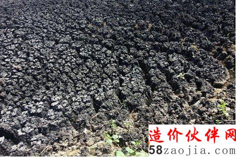 污水厂污泥处理