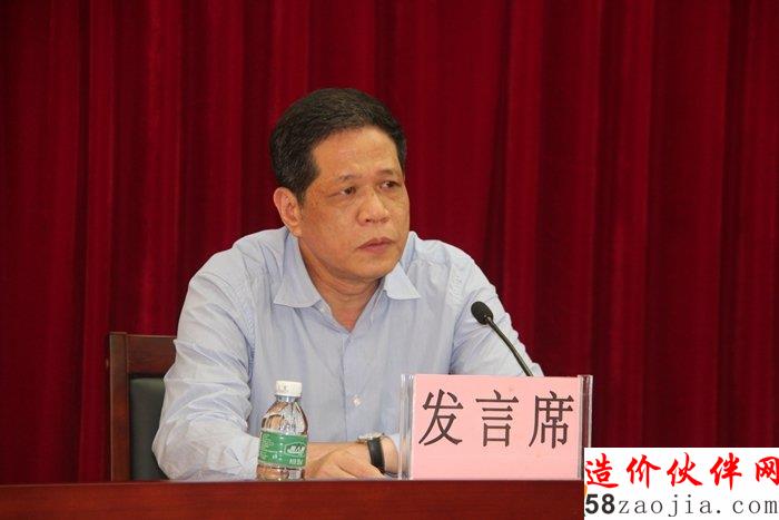 图片:雷州市代表发言