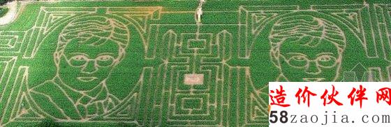 英国约克郡玉米迷宫