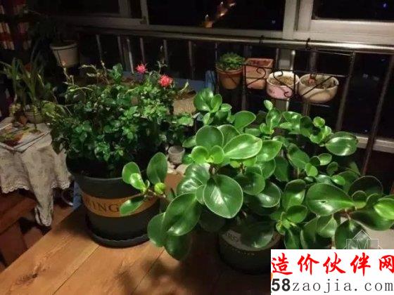 90后伪文青64平方的小家 看女汉子性感改造!