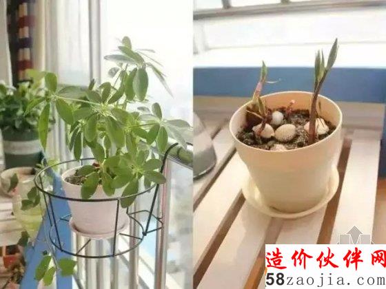 90后伪文青64平方的小家 看女汉子性感改造!