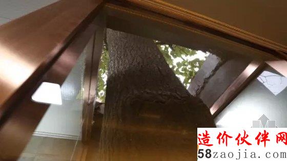 仲松挑战晚清旧宅改造 让老宅家人落叶归根