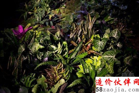 纽约拟建全球首个地下公园