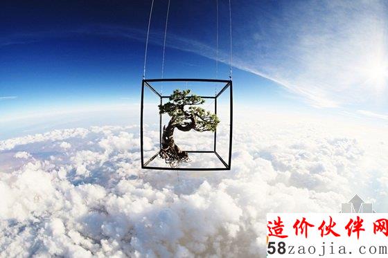 美国达拉斯艺术馆一棵盆栽的10年“游历”