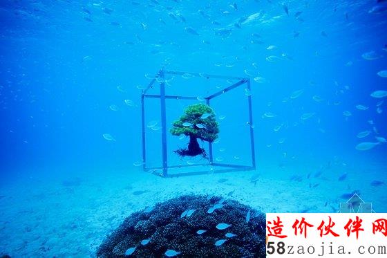 美国达拉斯艺术馆一棵盆栽的10年“游历”