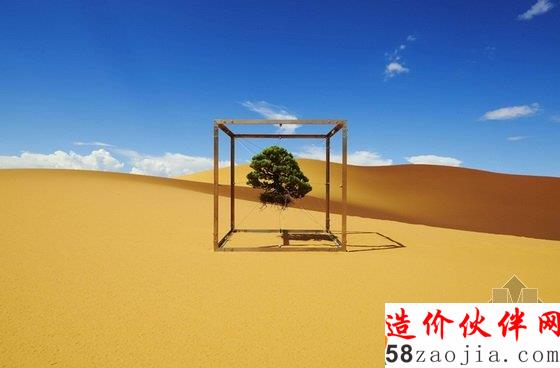 美国达拉斯艺术馆一棵盆栽的10年“游历”