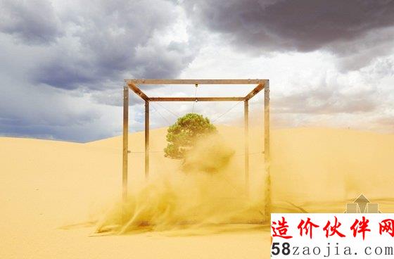 美国达拉斯艺术馆一棵盆栽的10年“游历”