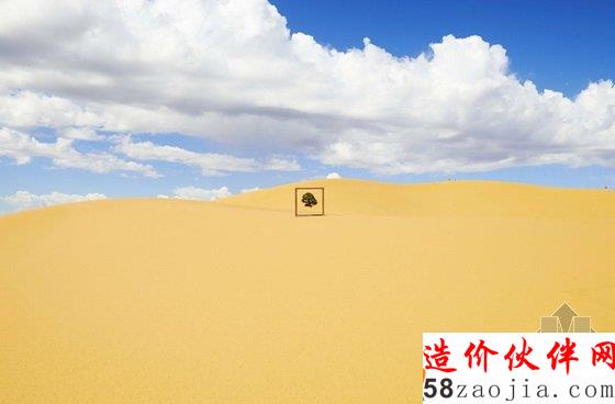 美国达拉斯艺术馆一棵盆栽的10年“游历”